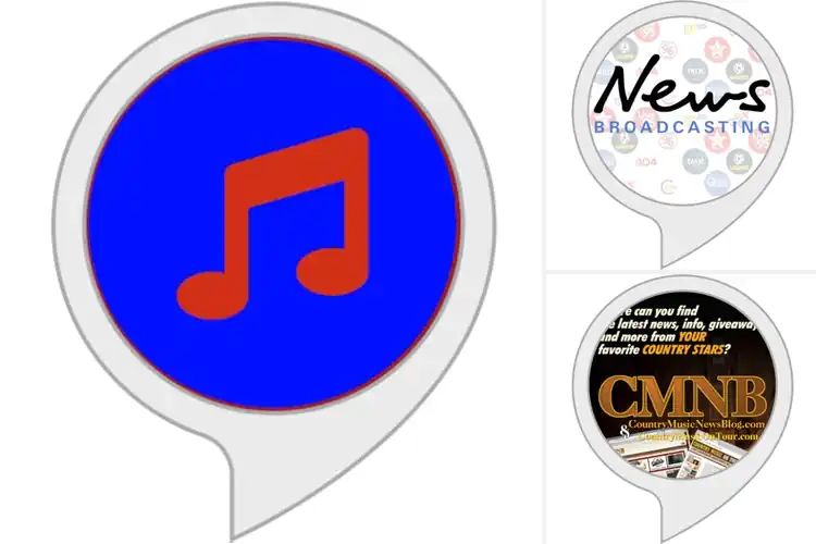 Detailed view of Best Alexa Skills For Music And News