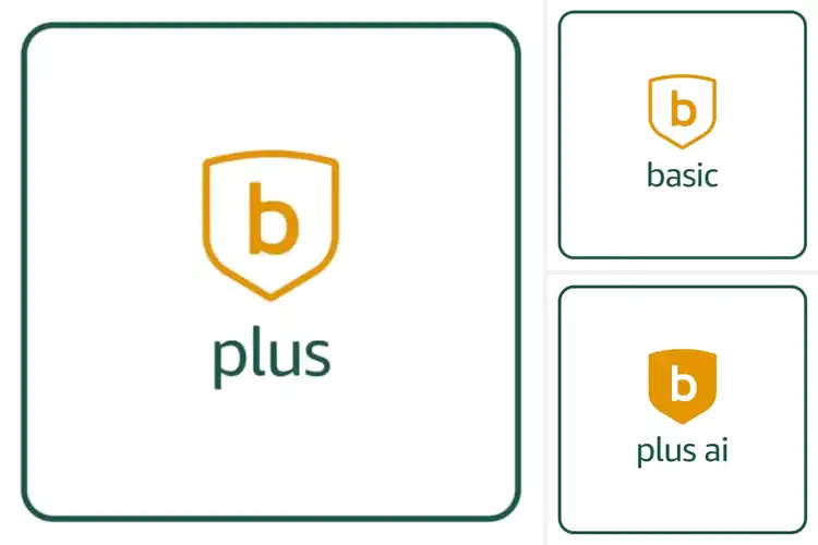 Detailed view of Best Auto Renewal Plans for Hassle-Free, Continuous Service