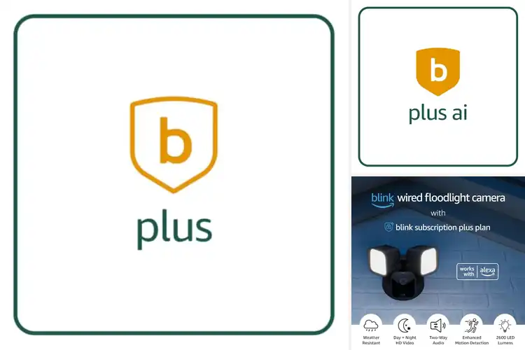 Detailed view of Best Blink Plus Plan: Secure Your Home with the Perfect Plan