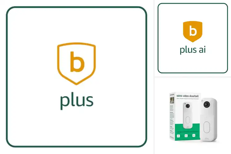 Detailed view of Best Blink Plus Subscription Plans