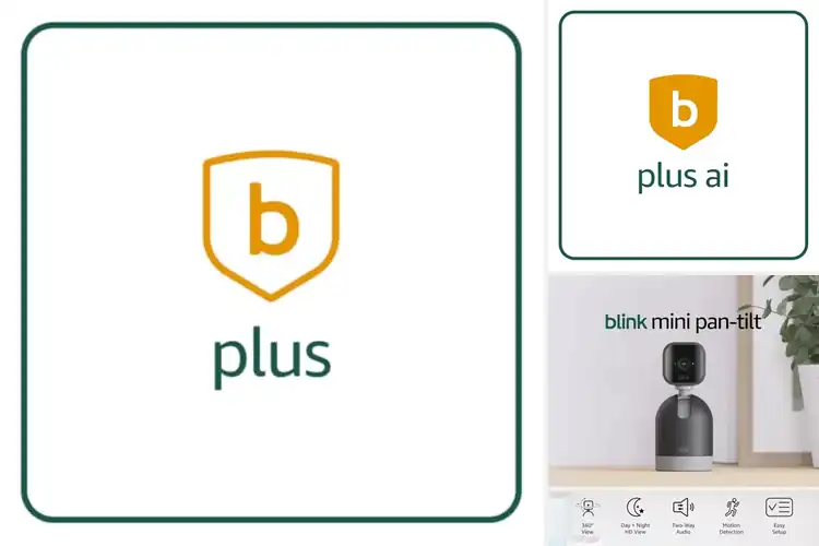 Detailed view of Best Blink Plus Subscriptions Plan