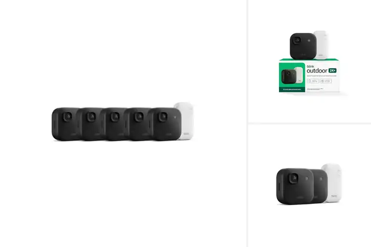 Detailed view of Best Blink Subscription Bundles