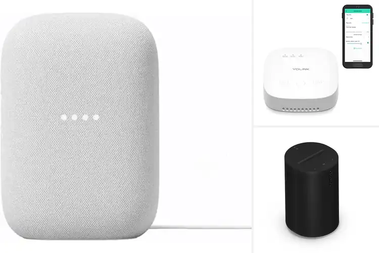 Detailed view of Best Compact Smart Speaker For Home Automation