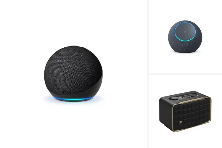 Detailed view of Best Music Streaming Speaker With Alexa