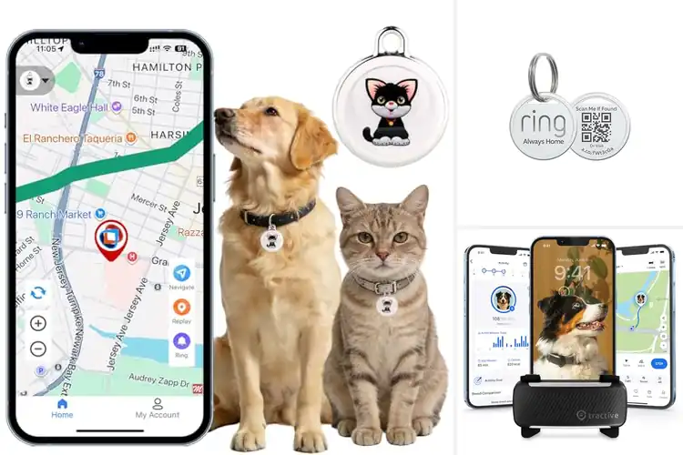 Detailed view of Best Pet Trackers