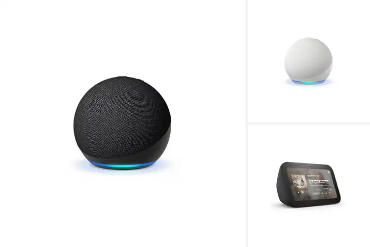 Detailed view of Best Smart Speakers