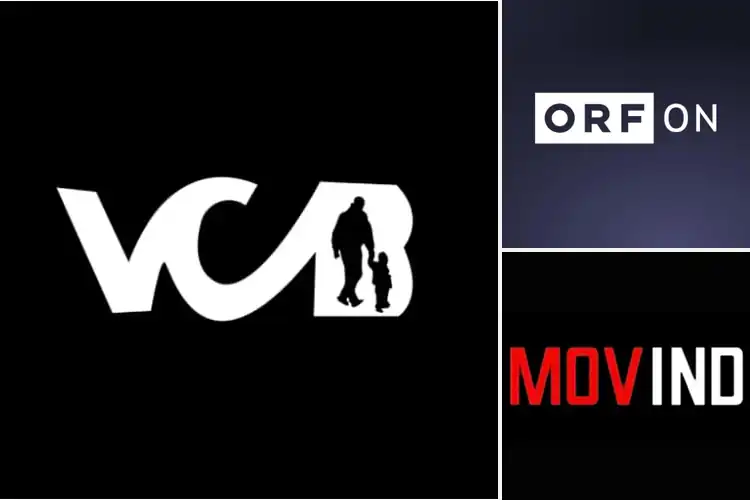 Detailed view of Best Streaming Platforms: Top Picks for Smooth, Easy Viewing